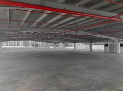 Ang Mo Kio Avenue 6 (D20), Factory #555316031